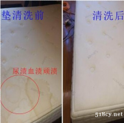 广州华景新城除螨公司，清洁床垫螨虫，上门除螨除菌